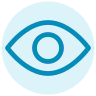 Visibility icon